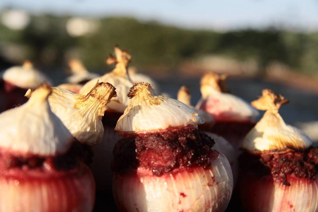 Masseria Catucci Agriturismo ألبيروبيللو المظهر الخارجي الصورة